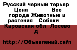 Русский черный терьер › Цена ­ 35 000 - Все города Животные и растения » Собаки   . Кировская обл.,Лосево д.